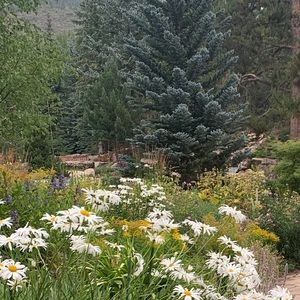 Meet your Posher, Sayra